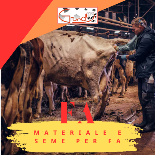 Materiale e Seme per FA